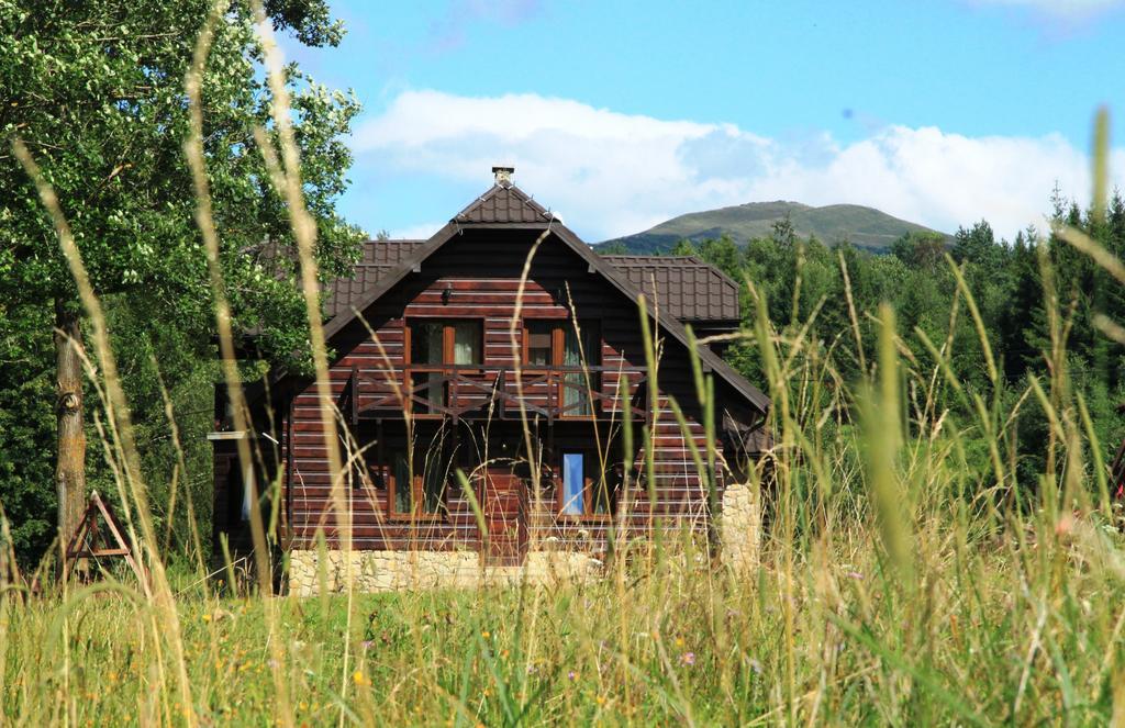 Dom Goscinny Borsuczyna Wetlina Exterior foto